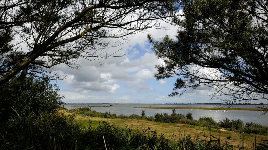 Uitkijkpunt Scheelhoekbos, bij Stellendam