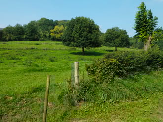 Noordal