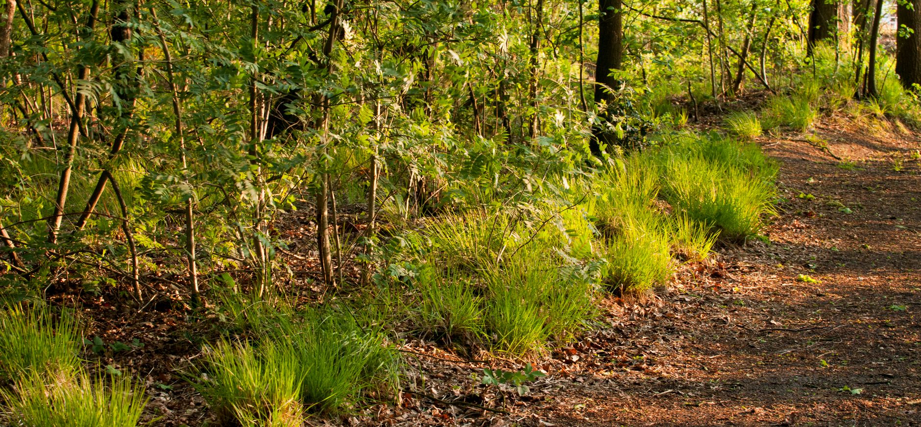 Speurtocht Speuren op Visdonk