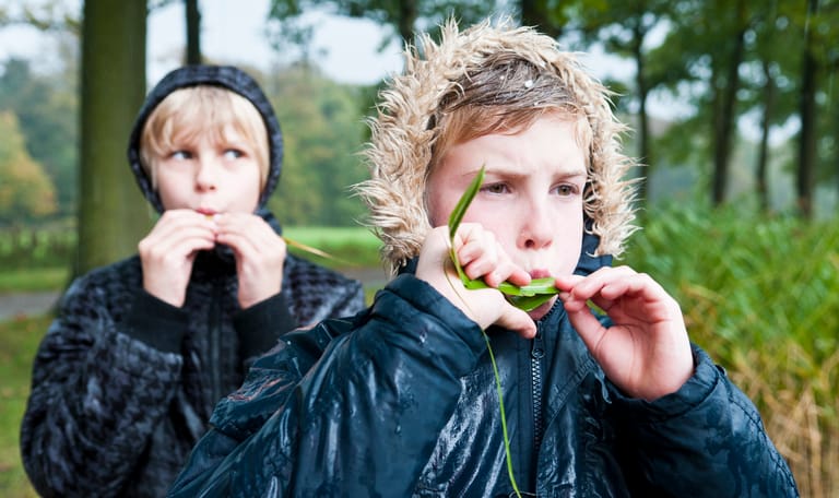 Fluitekruid fluitje maken