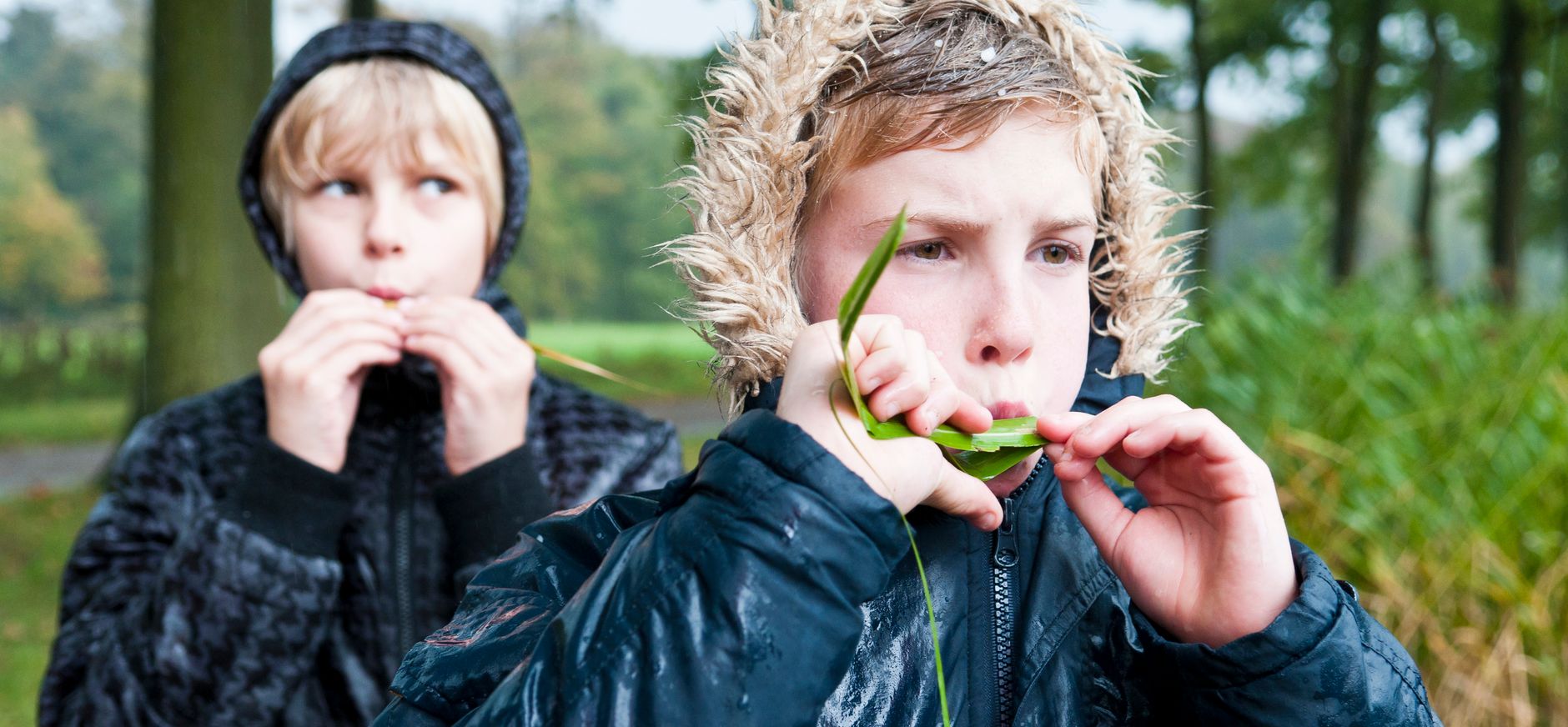 Fluitekruid fluitje maken