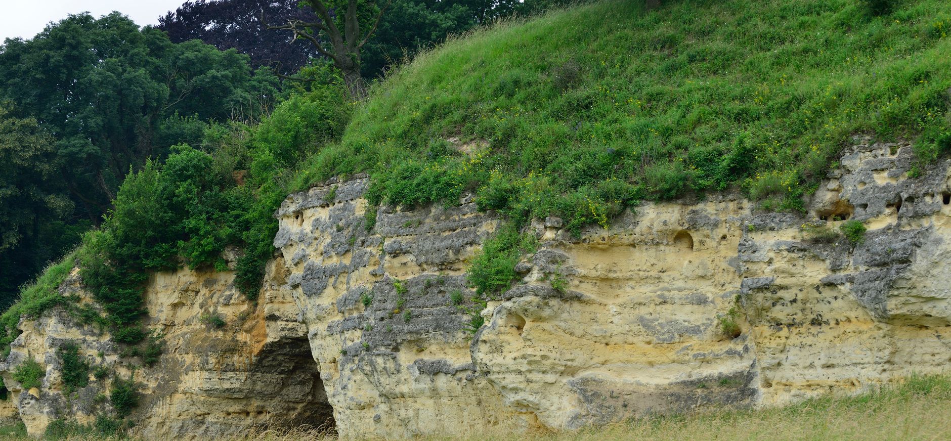 Geuldal