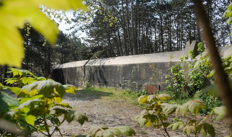 Walvisbunker