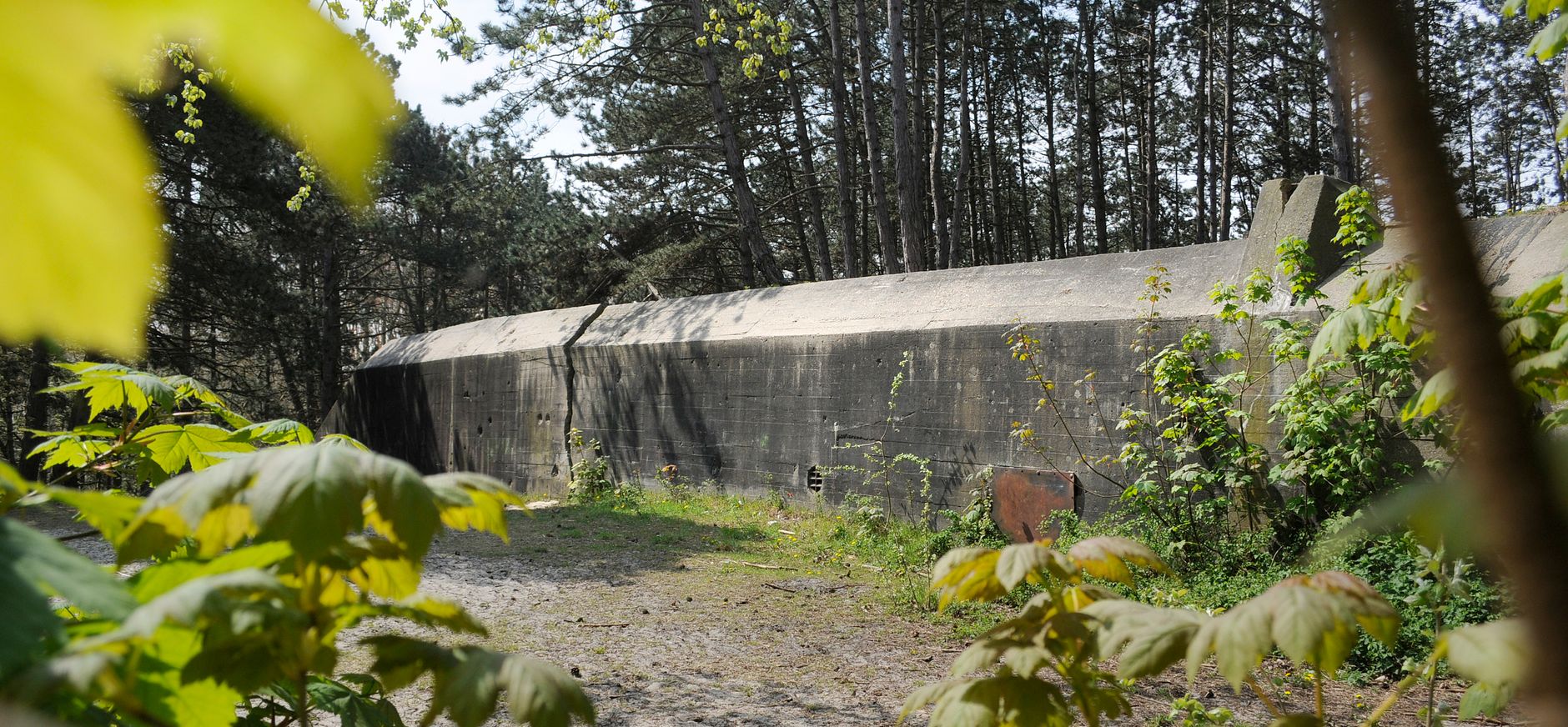 Walvisbunker