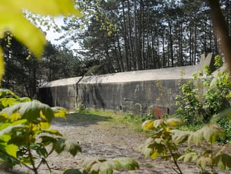Walvisbunker