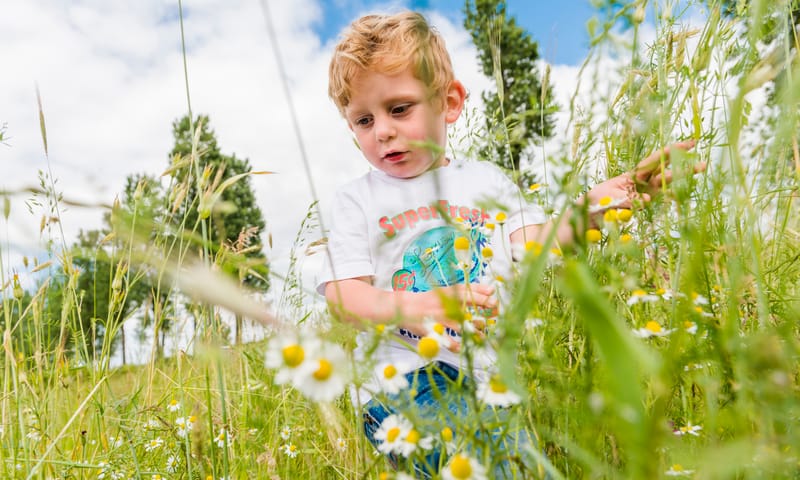 Landgoed Haarzuilens is voor kinderen een fijne plek is om te spelen, te rennen en vies te worden in het groen