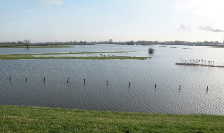 Rivierklimaatpark IJsselpoort