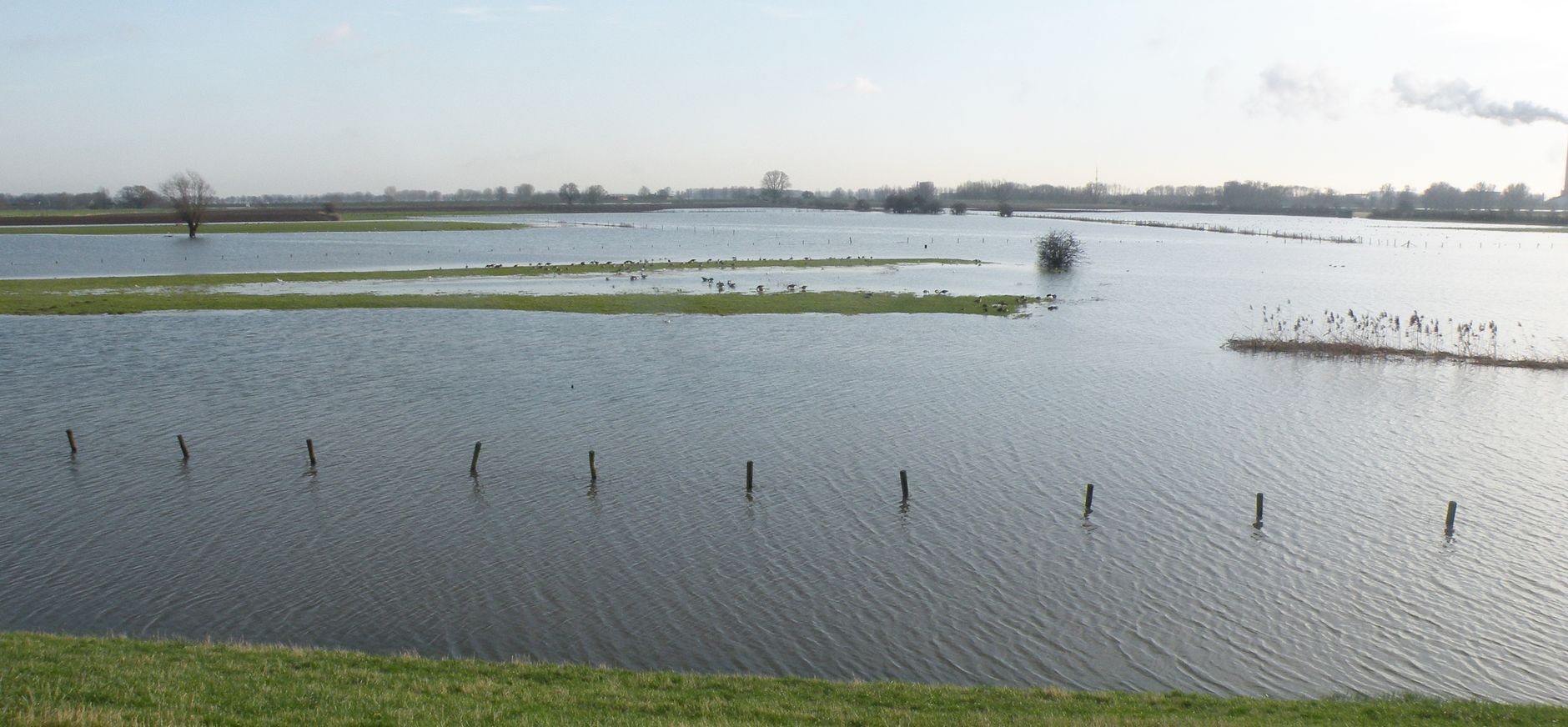 Rivierklimaatpark IJsselpoort