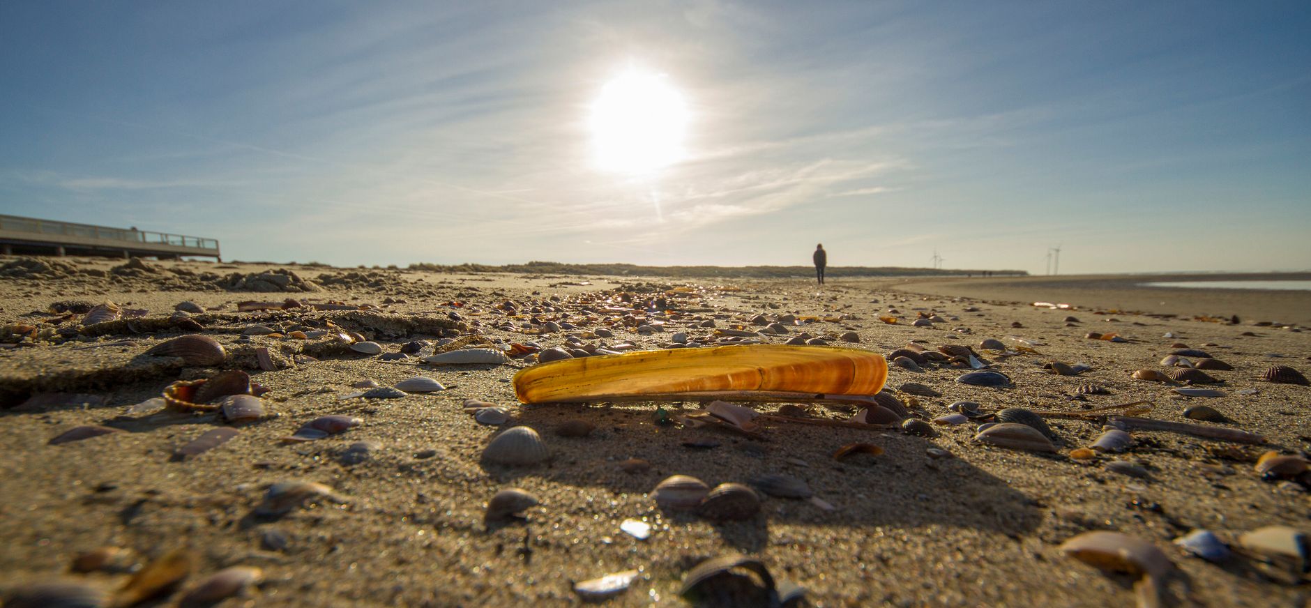 Groepsuitje aan de Zuidkust van Schouwen