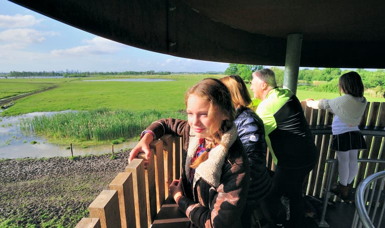 Uitkijktoren De Tureluur, Ackerdijkse Plassen