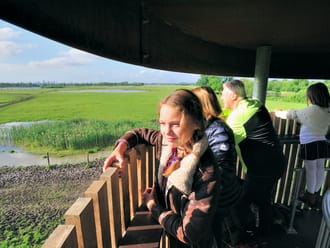 Uitkijktoren De Tureluur, Ackerdijkse Plassen