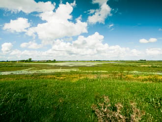 Tiengemeten