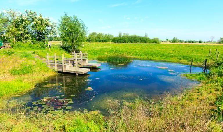 Groepsuitje in de Zwaakse Weel