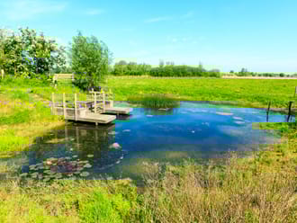 Groepsuitje in de Zwaakse Weel