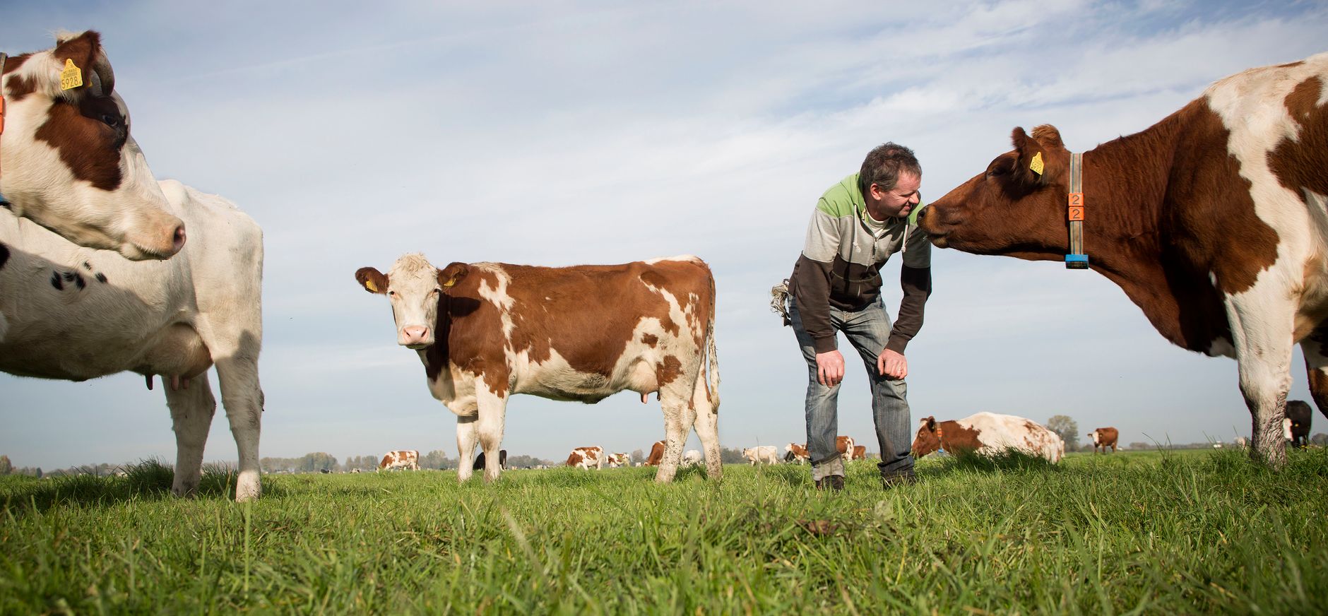 agrarisch natuurbeheer