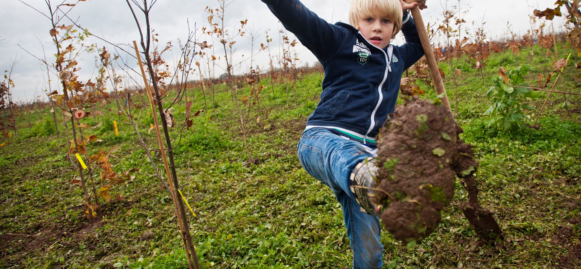 Aanleg Parkbos de Haar