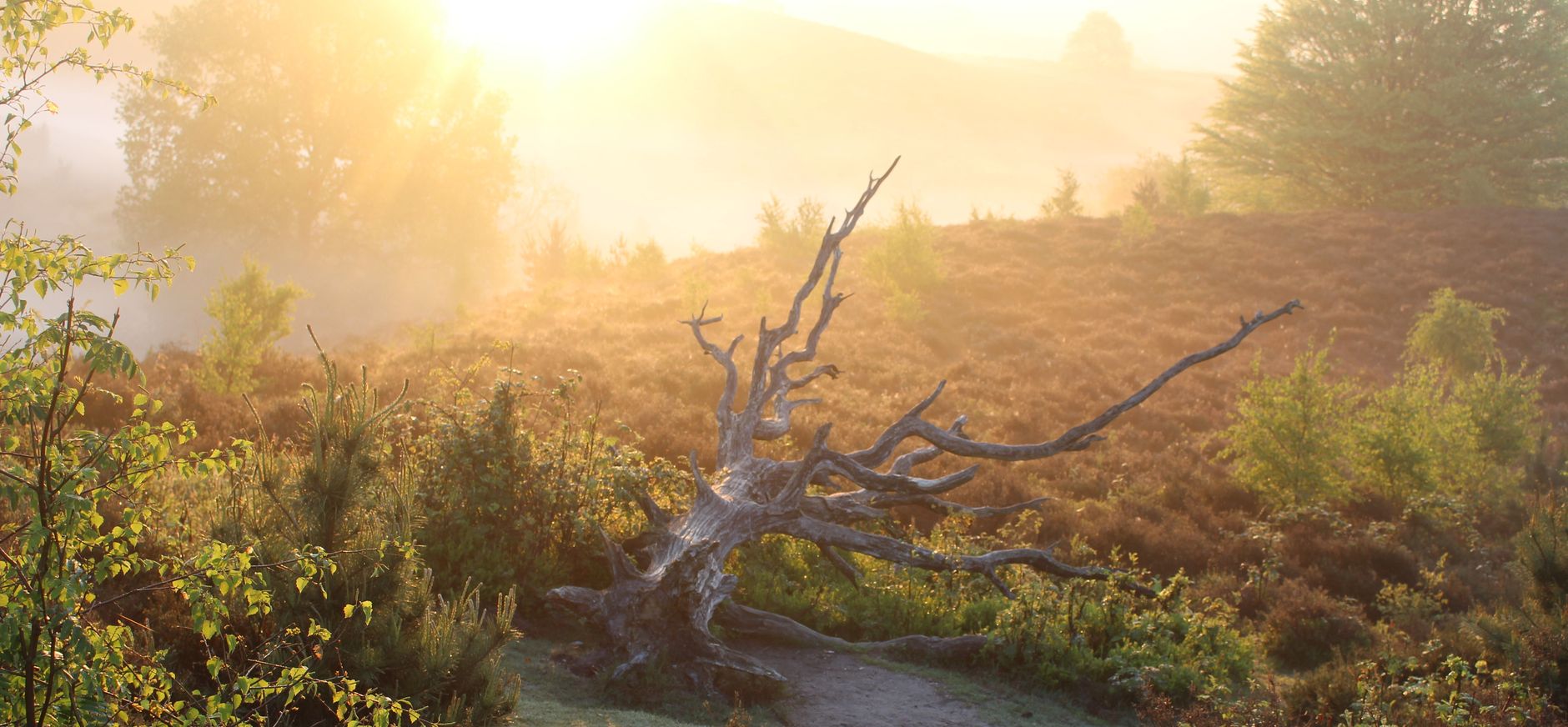 Nationaal Park Veluwezoom Natuurmonumenten