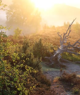 Nationaal Park Veluwezoom Natuurmonumenten