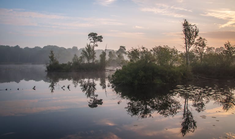 Groepsuitje in de Brabantse natuur
