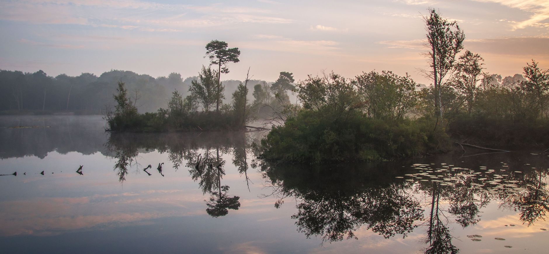 Groepsuitje in de Brabantse natuur