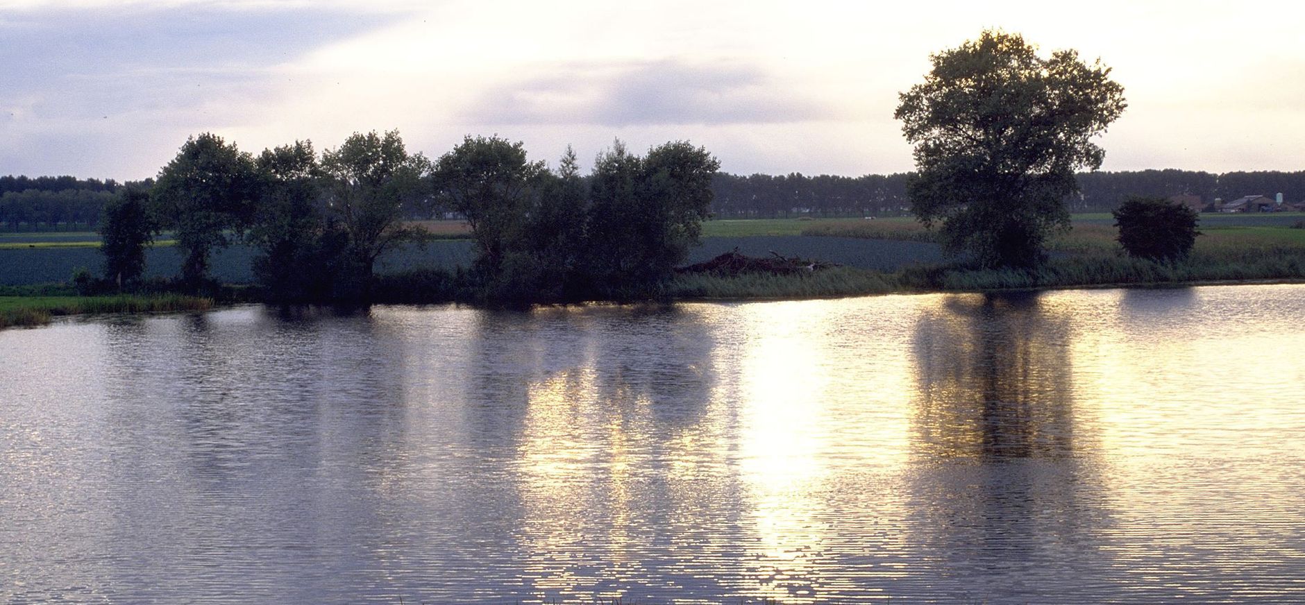 elshoutse wielen; schaliegas