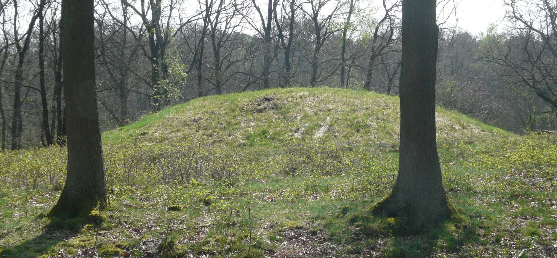 Grafheuvel Wolfheze