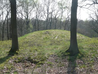 Grafheuvel Wolfheze