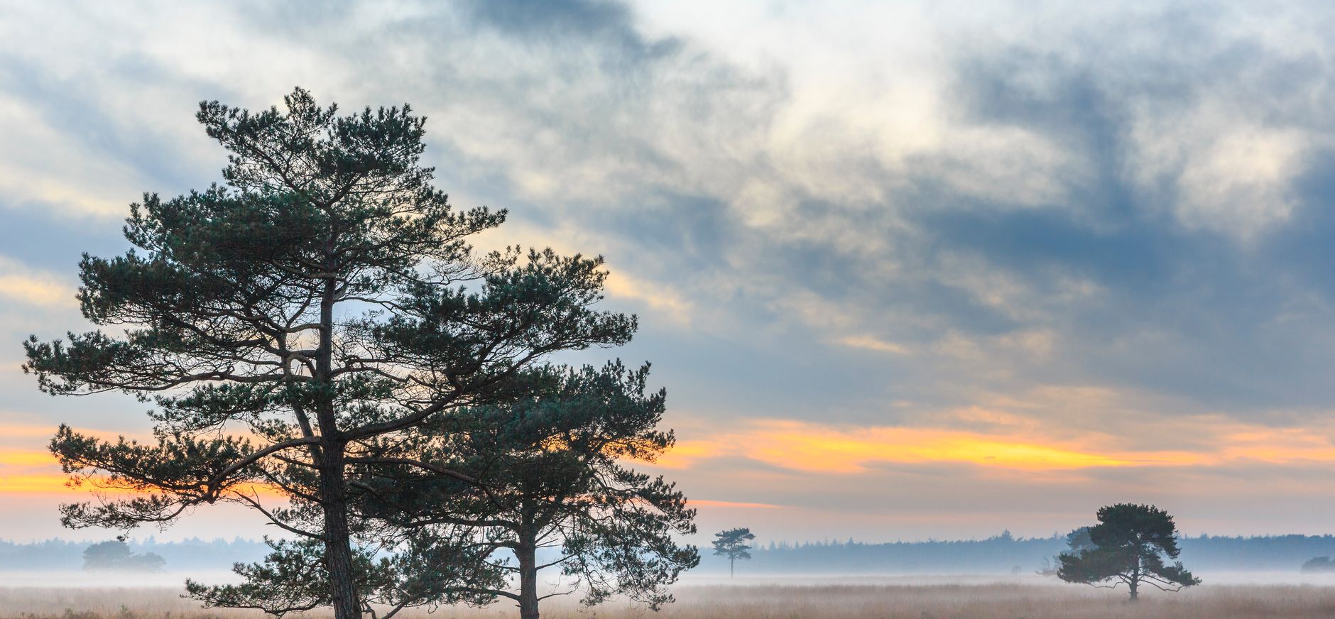 NP Drents Friese Wold