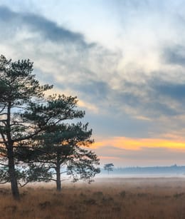 NP Drents Friese Wold
