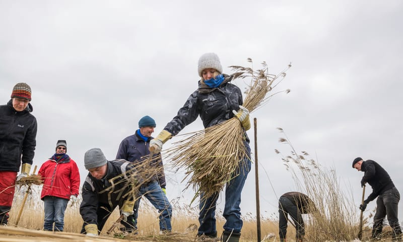 Nationaal Park Weerribben-Wieden landschap
