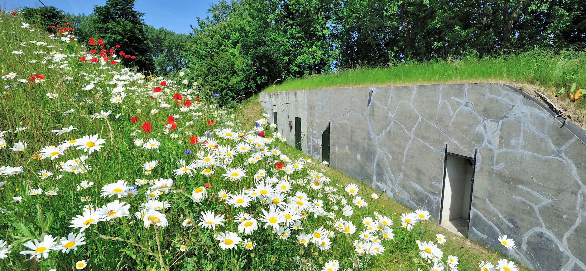 Nieuwe Hollandse Waterlinie