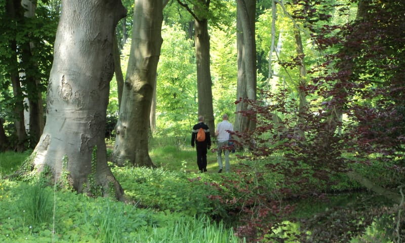Nijenburg wandelbos