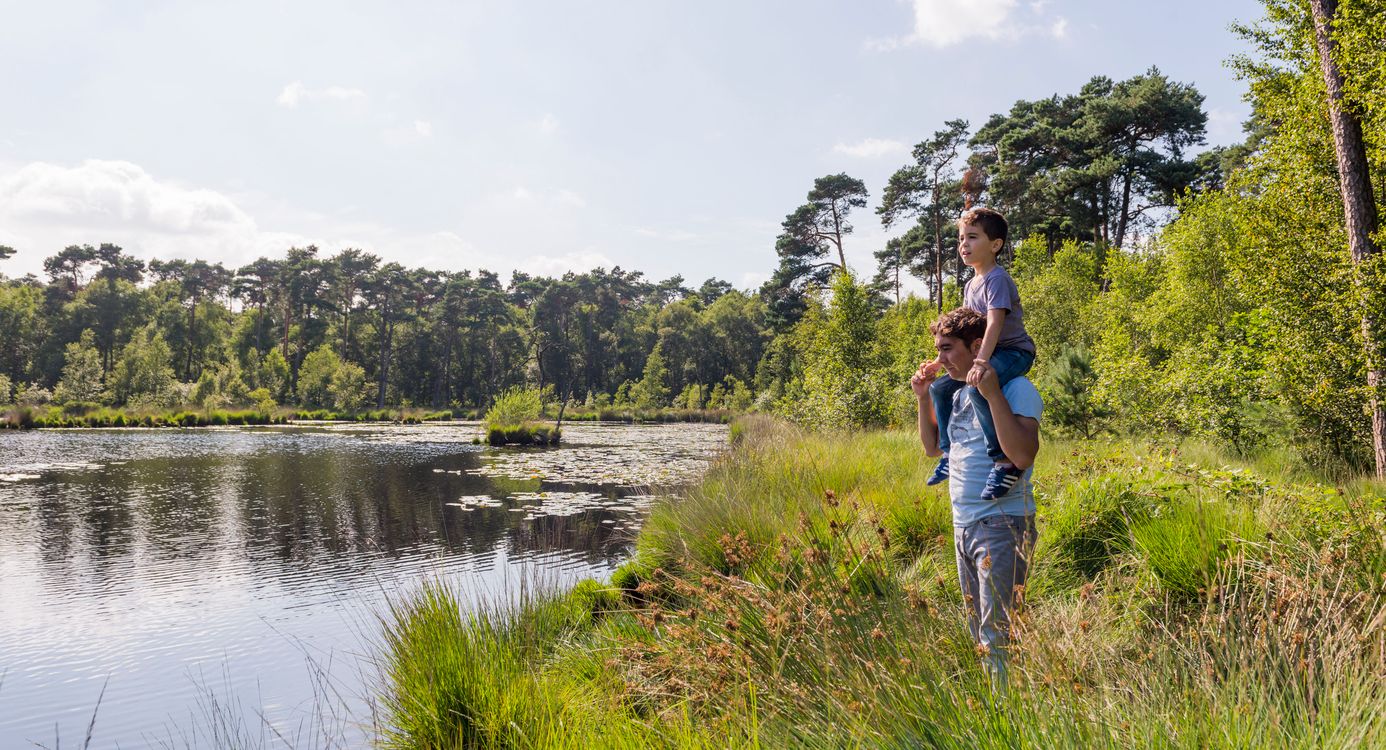 Wandelroute: Veertien vennenwandeling