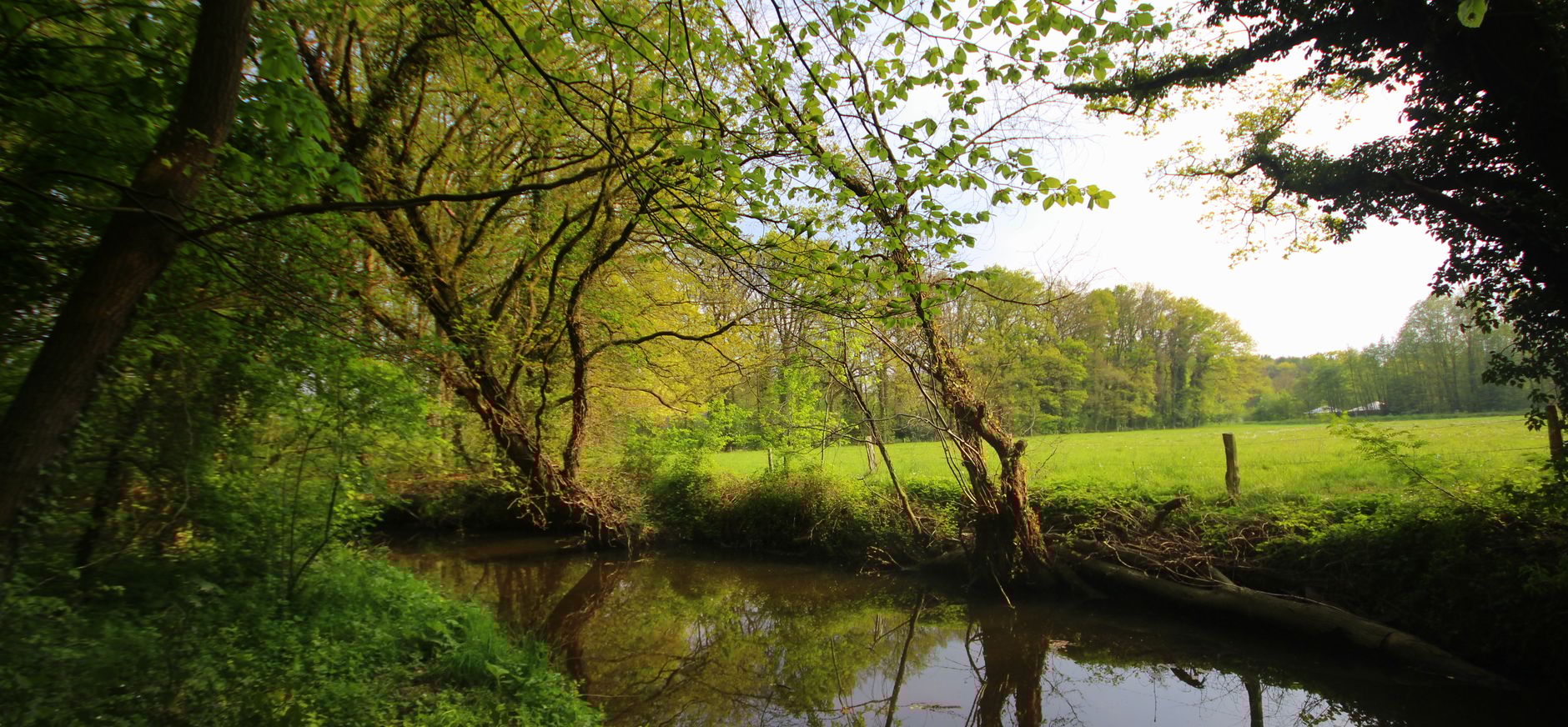 Omgeving van Winterswijk