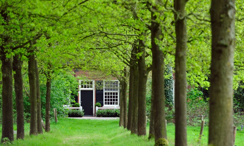 Oude Buisseheide laan