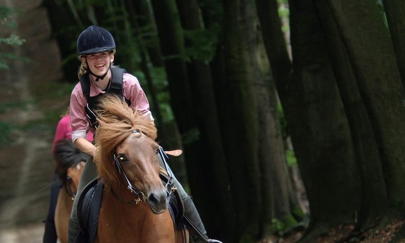 Paardrijden in het bos 