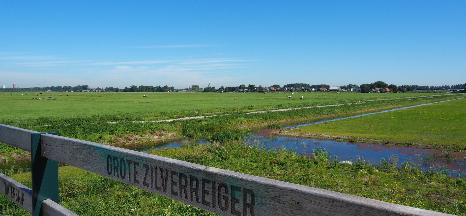 Polder Noord Kethel