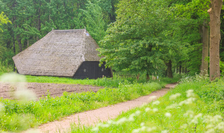 Rechterense Veld