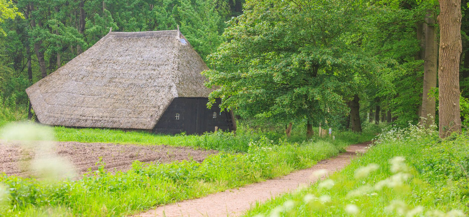 Rechterense Veld