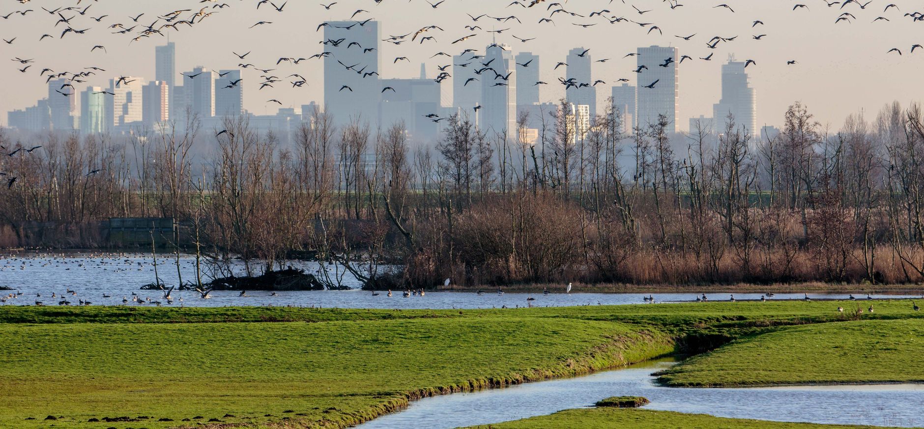 Rotterdams platteland