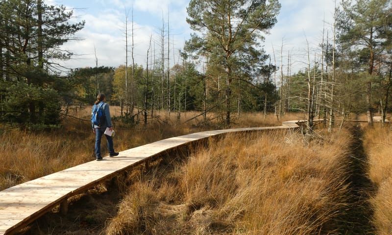 Stippelberg