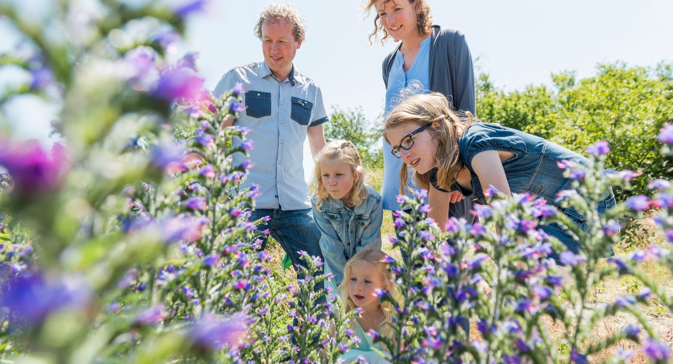 Voornes Duin Gezin