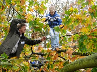 Vrijwilliger natuurbeheer Huis ter Heide