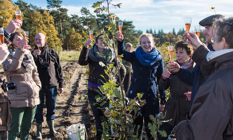 Vrijwilligers aan het werk