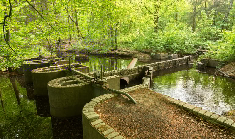 Waterloopbos waterloopkundige modellen