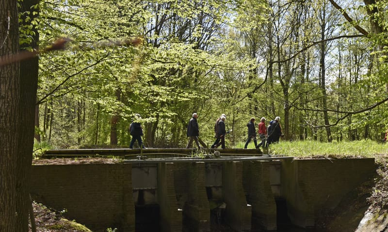 Waterloopbos excursie