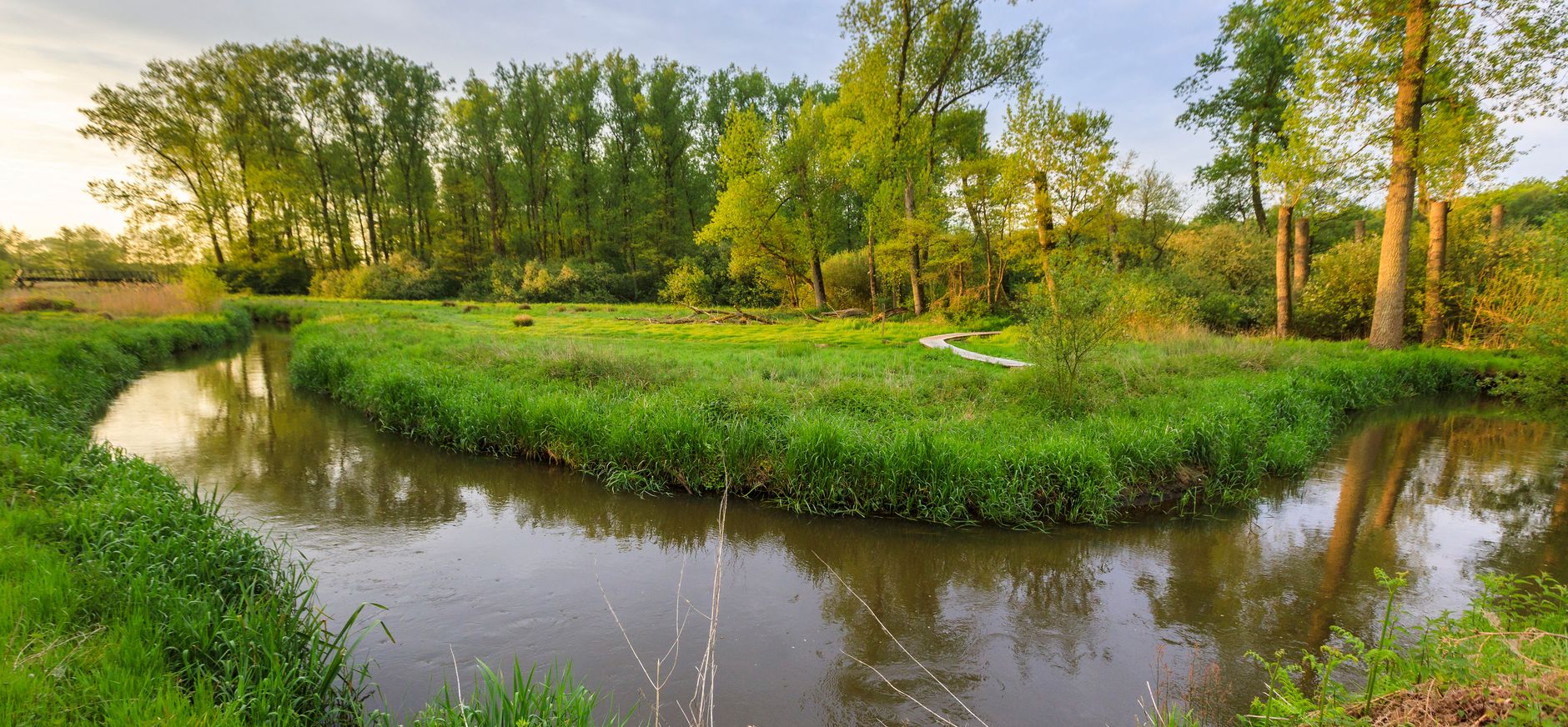 Waterpartij in het Dommeldal