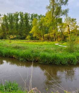 Waterpartij in het Dommeldal
