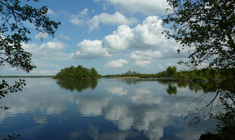 Wijde Blik
