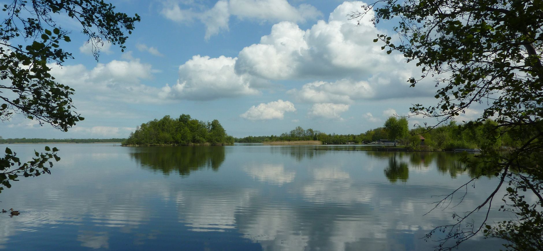 Wijde Blik